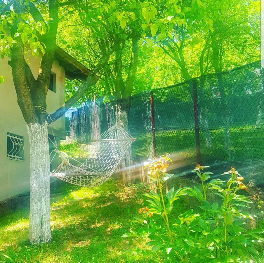 Keep Calm Garden Villa Sarajevo Luaran gambar